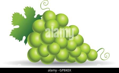 Uva verde con foglie isolato su bianco Illustrazione Vettoriale