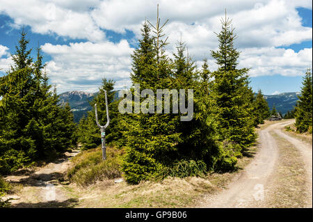 Due strade una di esse sale e l'altra scende, nei dintorni di Spindleruv Mlyn, i Monti Krkonoše, Repubblica Ceca Foto Stock