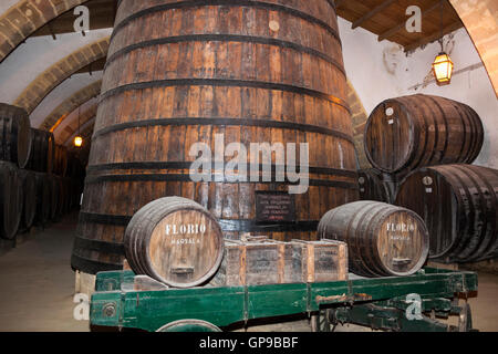 Botti da vino, Cantine Florio, Cantine Florio Marsala, Sicilia, Italia Foto Stock