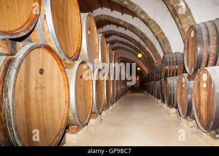 Botti da vino, Cantine Florio, Cantine Florio Marsala, Sicilia, Italia Foto Stock