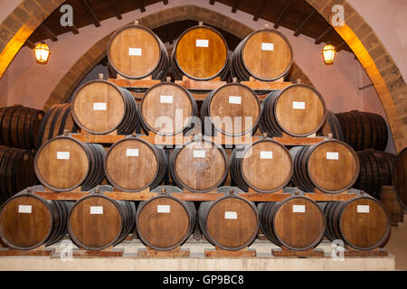 Botti da vino, Cantine Florio, Cantine Florio Marsala, Sicilia, Italia Foto Stock