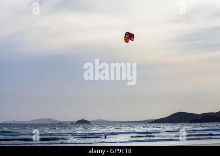 Il kite surf sulla spiaggia Newgale, Pembrokeshire Foto Stock