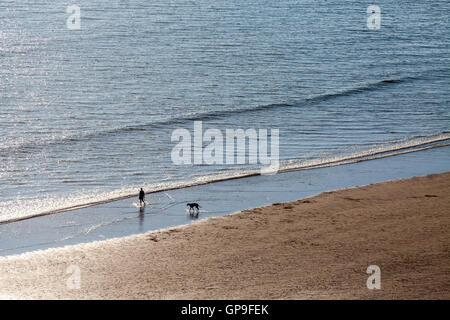 Camminare sulla spiaggia a Newgale, Pembrokeshire Foto Stock