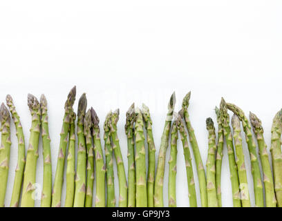 Gli asparagi verdi Spears isolati su sfondo bianco Foto Stock