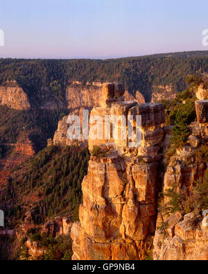 Stati Uniti d'America, Arizona, il Parco Nazionale del Grand Canyon, Alba sul calcare Kaibab con Walhalla Altopiano della distanza, dal punto Imperial Foto Stock