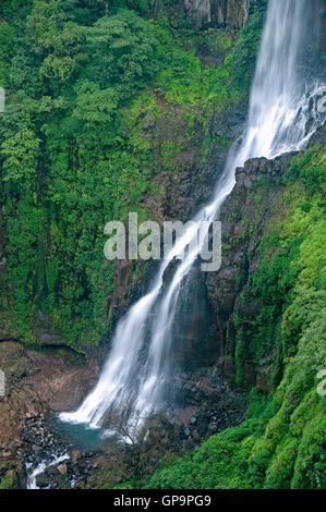 L'immagine della cascata Thoseghar in Satara, Maharashtra, i Ghati Occidentali, monsone, India Foto Stock