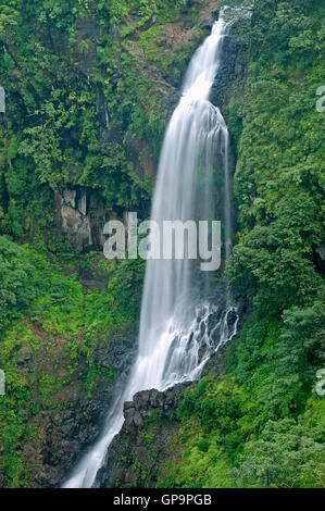 L'immagine della cascata Thoseghar in Satara, Maharashtra, i Ghati Occidentali, monsone, India Foto Stock
