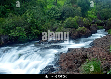 L'immagine di Flusso in Satara, Maharashtra, i Ghati Occidentali, monsone, India Foto Stock