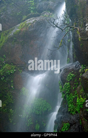 L'immagine della cascata in Mahabaleshwar, Hill Station Maharashtra, i Ghati Occidentali, monsone, India Foto Stock