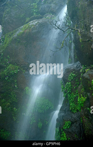 L'immagine della cascata in Mahabaleshwar, Hill Station Maharashtra, i Ghati Occidentali, monsone, India Foto Stock