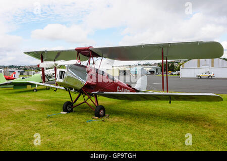 G-ER De Havilland DH-82A Tiger Moth II biplanare (1953), coinvolto in un incidente Monaco Riem 12/07/1954 e de-registrato. Ora a Derry Airport Foto Stock