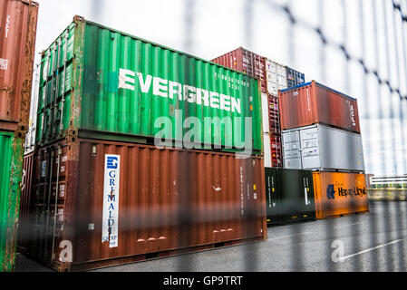 I contenitori di spedizione impilati fino a Belfast Harbour, dietro un muro di sicurezza. Foto Stock