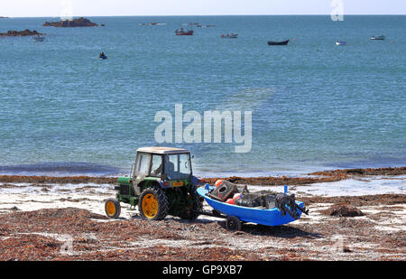 Trattore tirando una piccola barca da pesca lungo una spiaggia in Guernsey Foto Stock