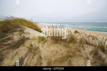 Le dune di sabbia a Costa Nova, una famosa spiaggia vicino a Aveiro, Centro, Portogallo Foto Stock