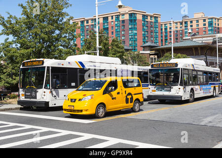 Westchester County Bee-Sistema di linea di autobus che servono i passeggeri alla stazione ferroviaria in Yonkers, New York. Foto Stock