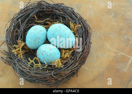 Blue screziato uova in tessuti nido di vite su sfondo rustico in formato orizzontale con spazio di copia Foto Stock