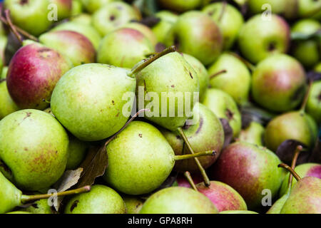 Le pere in una grande pila close up Foto Stock