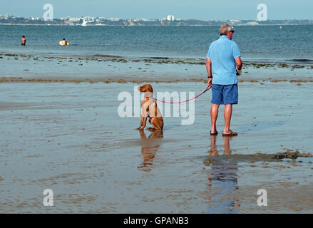 L uomo e il suo cane sulla spiaggia di Knoll, Studland Bay, Dorset Foto Stock