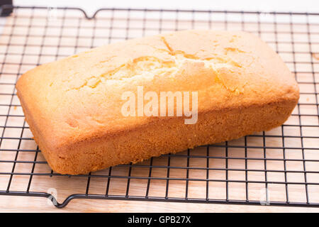 Limone ciambellone focaccia raffreddamento su rack. Foto Stock