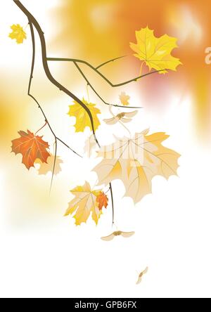 Ramo di acero. Maglia di gradiente usato Illustrazione Vettoriale