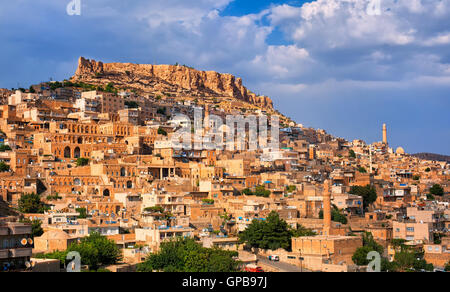 Mardin, una città nel sud della Turchia su una collina rocciosa vicino al fiume Tigri, famoso per la sua architettura Artuqid Foto Stock