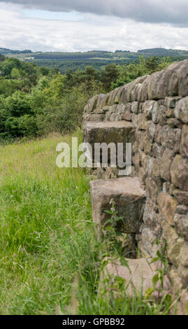 Stile asciutto su muro di pietra, Derbyshire, England, Regno Unito Foto Stock