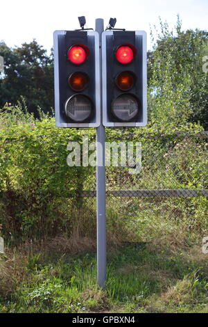 Un inizialmente confondere coppia di segnali di traffico montato su un post con 2 teste ciascuna con due aspetti e una freccia di direzione. Foto Stock