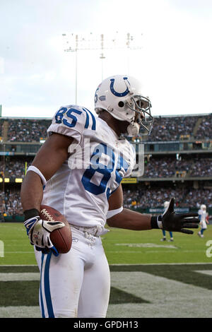 26 dicembre 2010; Oakland, CA, Stati Uniti; il wide receiver degli Indianapolis Colts Pierre Garcon (85) festeggia dopo aver segnato un touchdown contro gli Oakland Raiders durante il secondo tempo all'Oakland-Alameda County Coliseum. Foto Stock