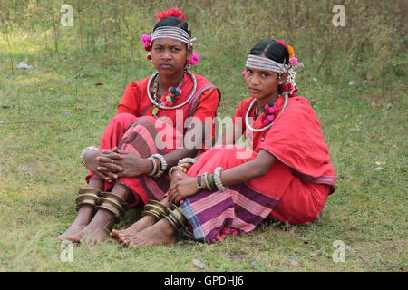 Muria adivasi tribù tribale donna danza ballerina, Jagdalpur, Bastar, Chhattisgarh, India, Asia Foto Stock