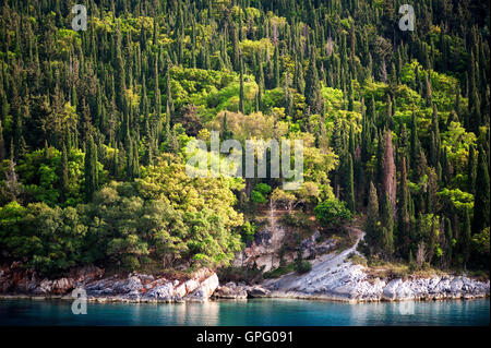 L'isola di Cefalonia,Grecia: una vista del Mediterraneo cipressi che lambiscono le acque turchesi del Mar Ionio . Foto Stock