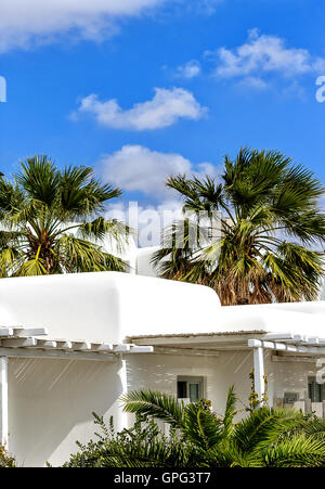 Casa bianca fra il verde delle palme Foto Stock