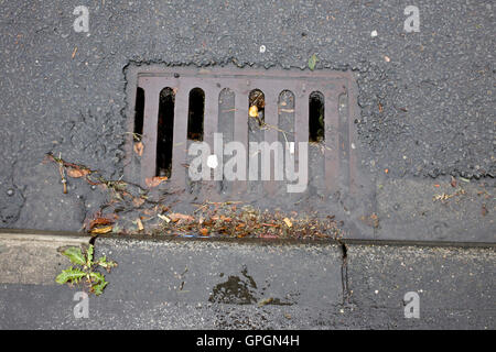 Drenaggi ostruito da foglie e fango e non pulita Foto Stock