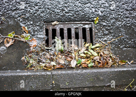 Drenaggi ostruito da foglie e fango e non pulita Foto Stock