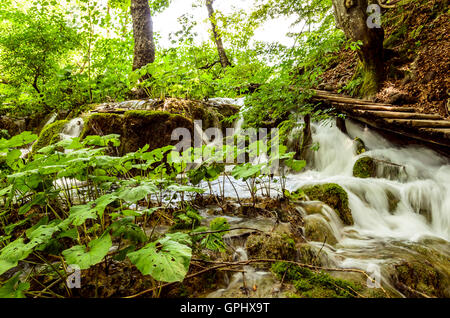 Flusso di acqua paesaggio di plitvicka lake national park unesco sito heritae, Plitvice, Croazia. Foto Stock
