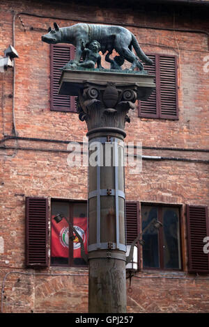 Statua di lupo capitolino, il simbolo della città di Siena in Toscana, Italia Foto Stock