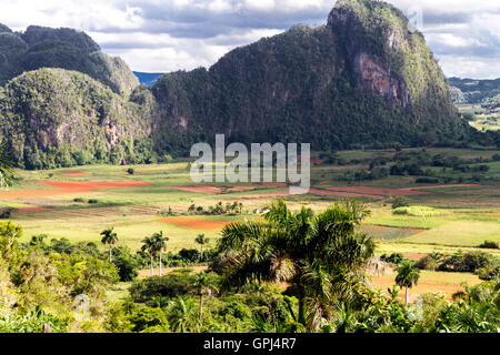 Affacciato sul patrimonio mondiale Vinales Valley in Cuba Foto Stock