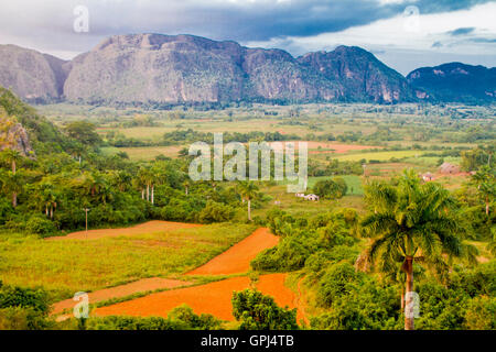 Affacciato sul patrimonio mondiale Vinales Valley in Cuba Foto Stock