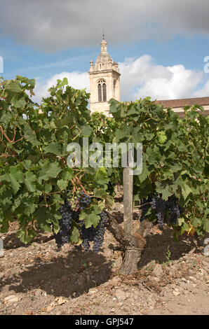 Margaux Francia - circondato da vigneti la storica chiesa di Margaux nel Medoc regione di Bordeaux Francia Foto Stock