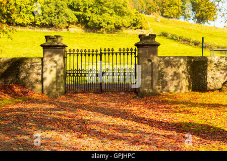 Vecchio, bella porta di ferro presso la vecchia chiesa scozzese in autunno Foto Stock