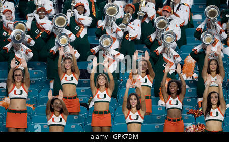 Giardini di Miami, Florida, Stati Uniti d'America. 3 Sep, 2016. Università di Miami di ventilatori in Hard Rock Stadium di Miami, Florida il 1 settembre 2016. © Allen Eyestone/Palm Beach post/ZUMA filo/Alamy Live News Foto Stock