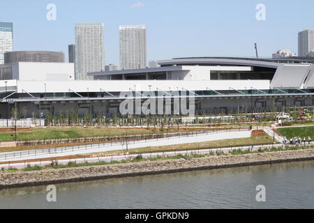 Prosegue la costruzione presso il sito di un nuovo Toyosu mercato del pesce a Tokyo in Giappone il 31 agosto 2016. © Hiroyuki Ozawa/AFLO/Alamy Live News Foto Stock