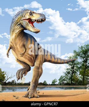 Tyrannosaurus rex è un theropod dinosauro del Cretaceo Foto Stock