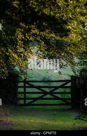 A cinque bar porta nel Devon campagna Foto Stock