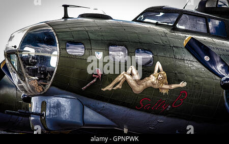 Sally B Foto Stock