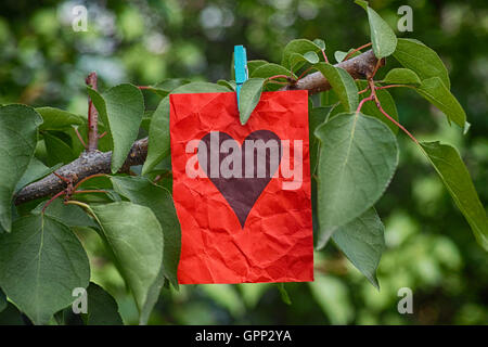 Carta rossa nota con forma di cuore appeso a un albero. Il concetto di amore. Close up. Foto Stock