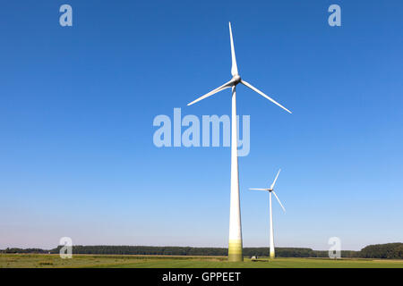 Turbina eolica con filatura in una campagna verdeggiante ambiente Foto Stock