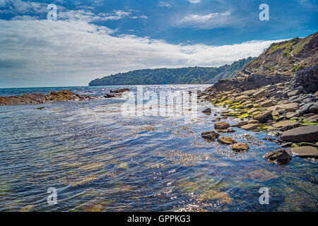 Una vivace vista colorata lungo una scena costiera del Dorset, Inghilterra. Le alghe ondeggiano durante la marea mentre colpiscono le rocce sulla riva. Foto Stock