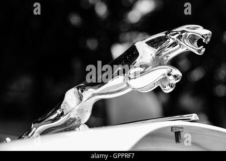 Immagine in bianco e nero di Jaguar emblema Foto Stock