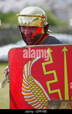 Evento romano di Segontium, Caernarfon, Foto Stock