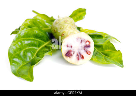 Il Noni (denominato anche come Morinda citrifolia, Rubiaceae Noni, grande morinda, gelso indiano, spiaggia del gelso, formaggio, frutta Gentianale Foto Stock